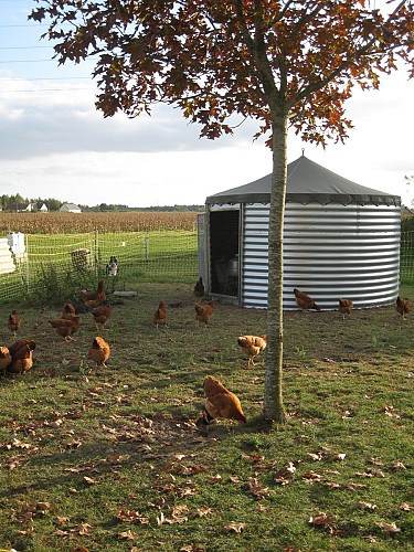 2020_ferme_Brigaudiere 