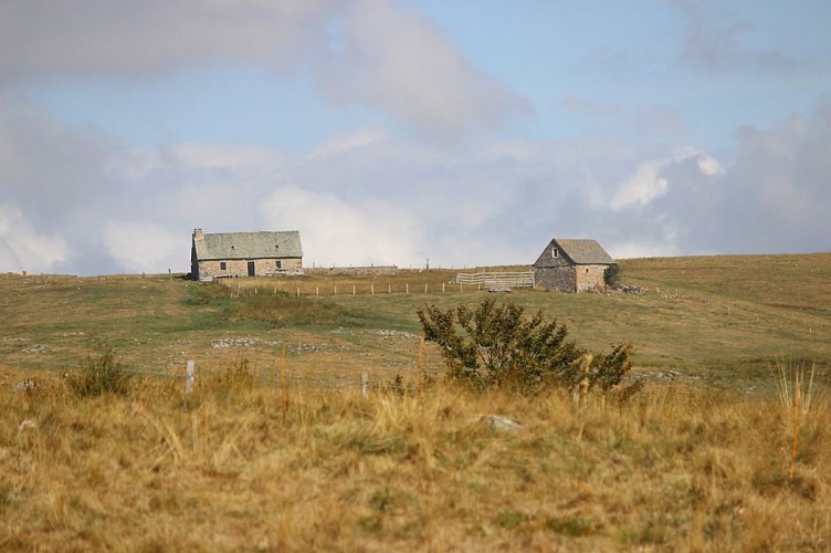La Maison de Coquette