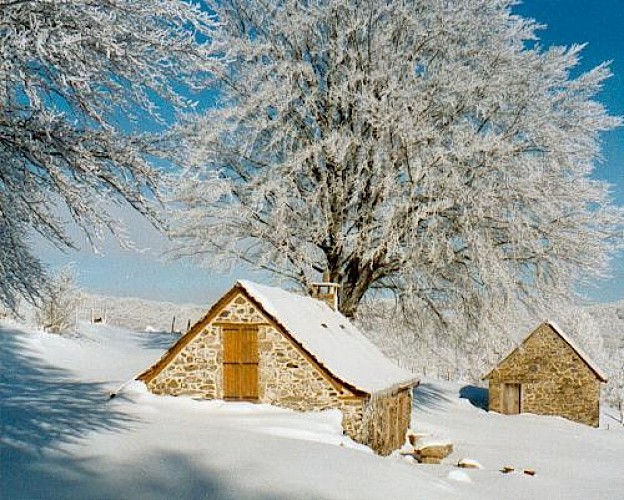 La Maison de Coquette