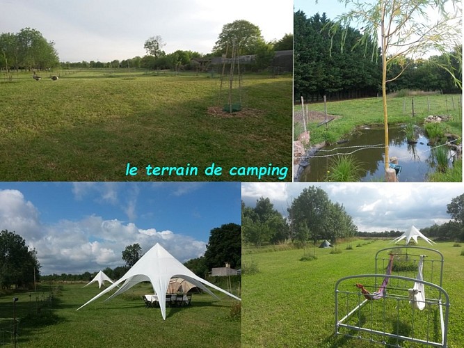 3 camping  le terrain