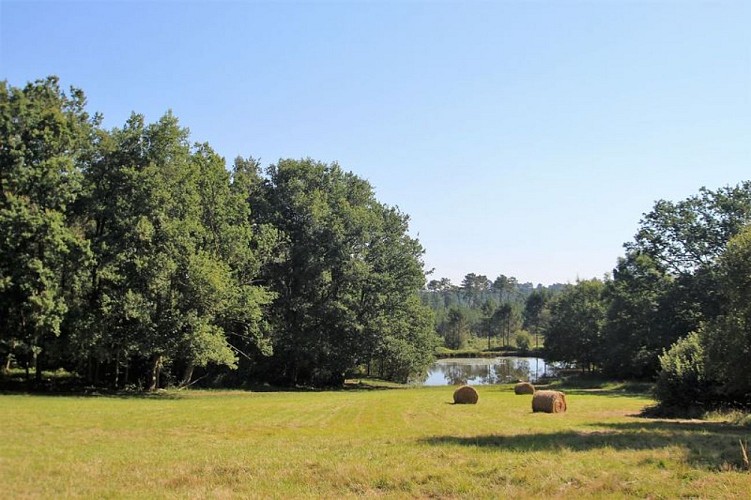 Domaine Jean du Claud Studio