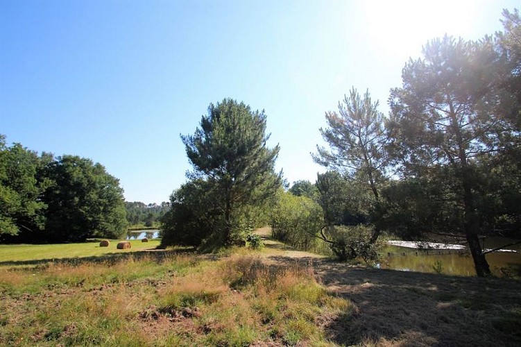 Domaine Jean du Claud Studio