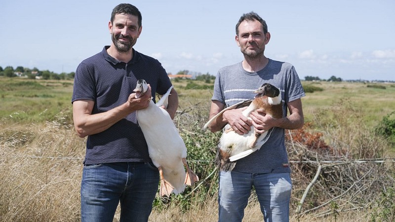 FERME DU PAS DE L'ILE