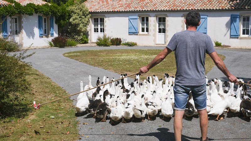 FERME DU PAS DE L'ILE