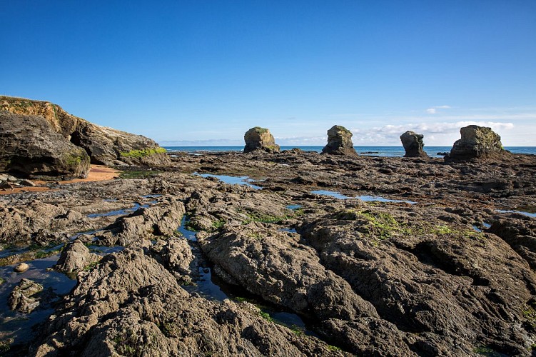 LA CORNICHE VENDÉENNE