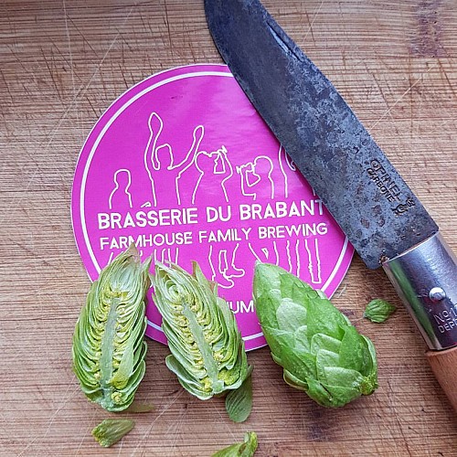 Brasserie du Brabant