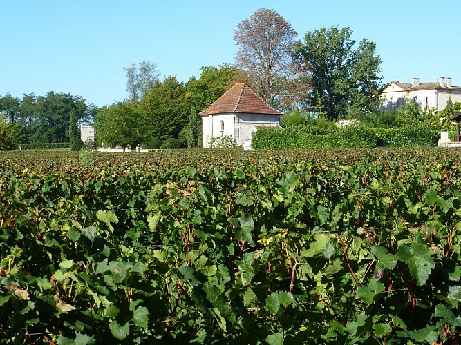 ©Chateau_Couloumey_2017 (1)