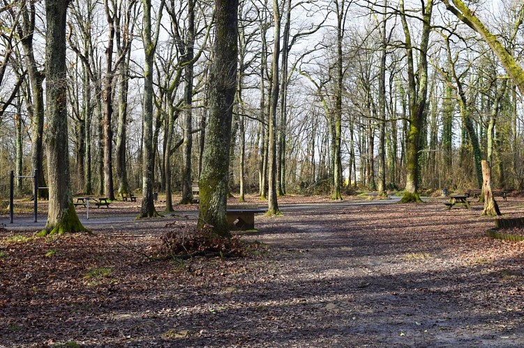 Aire de pique-nique - Lons - tables 2