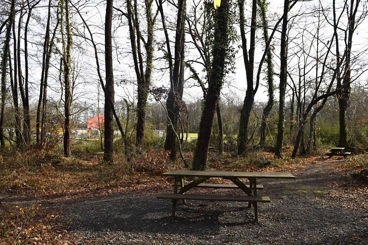 Aire de pique-nique - Lons - tables 4