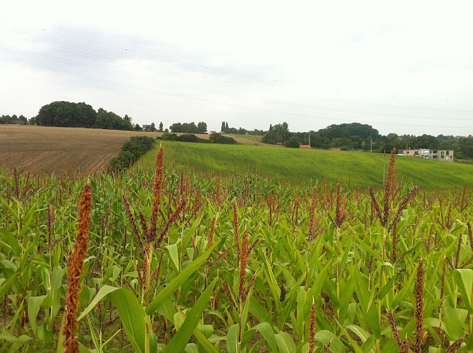 Aire de repos de la Hardée
