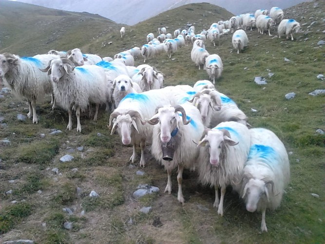 29027688_123430111824750_2646239800444583936_o