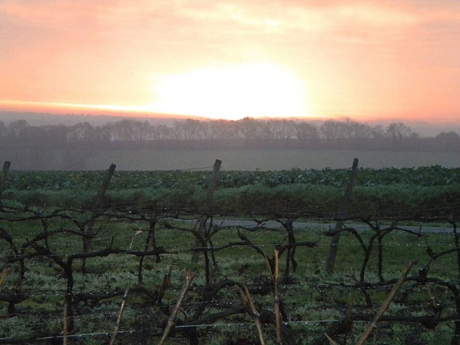 Aire de cmping-car Domaine de la Gironnière