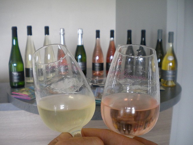 Aire de cmping-car Domaine de la Gironnière