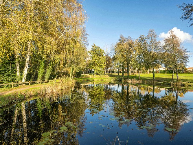 Les étangs du Pré de la Fontaine