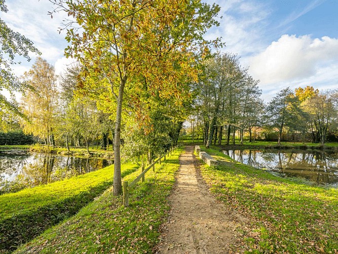 Les étangs du Pré de la Fontaine