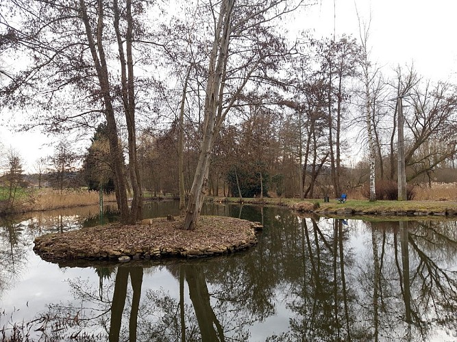 Aire de pique-nique de Falck