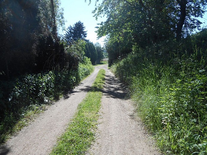 Image du circuit