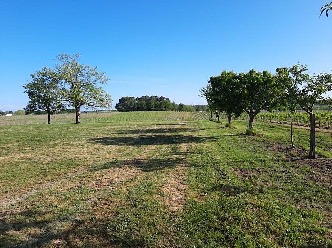 Château Lussan