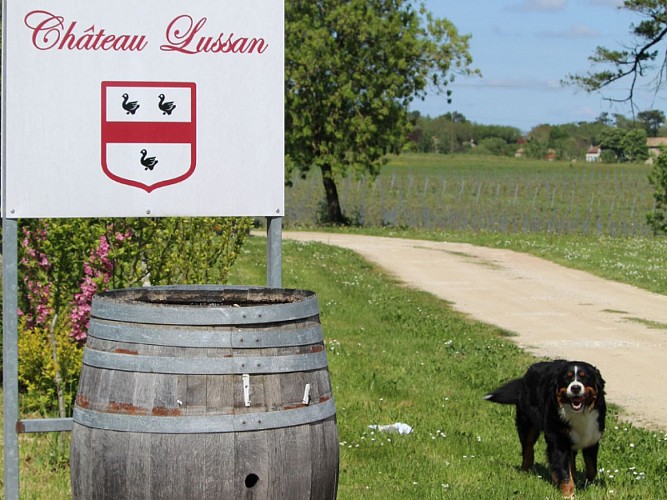 Château Lussan
