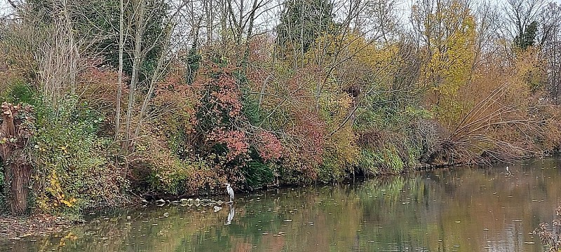 image du object