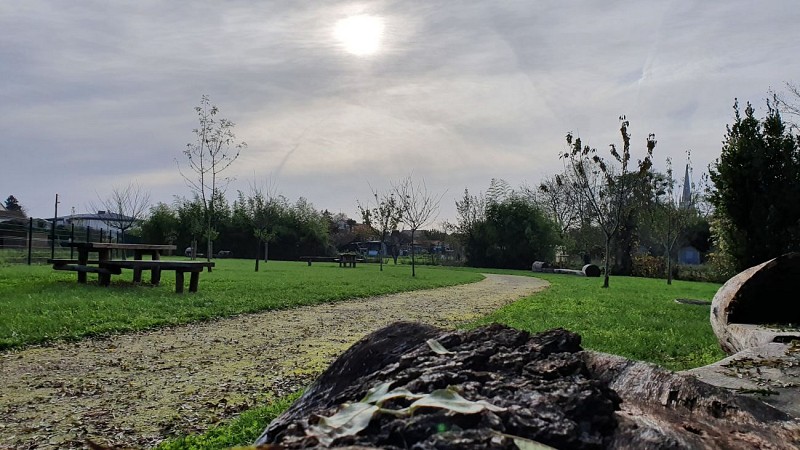 AIRE DE PIQUE-NIQUE - DES BORDS DE RIVIÈRE VENDÉE