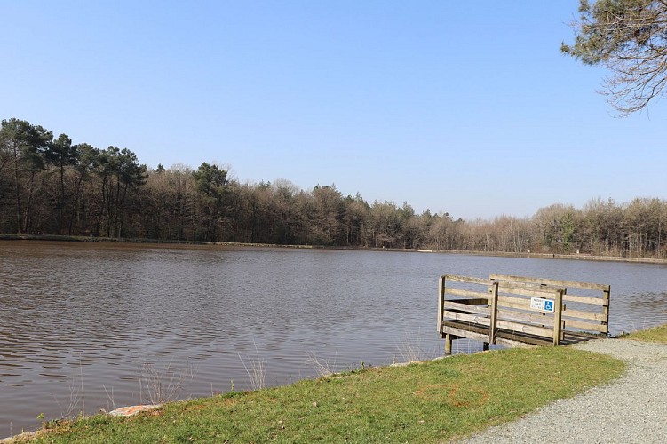 PECHE ETANG DES BOIS VERTS