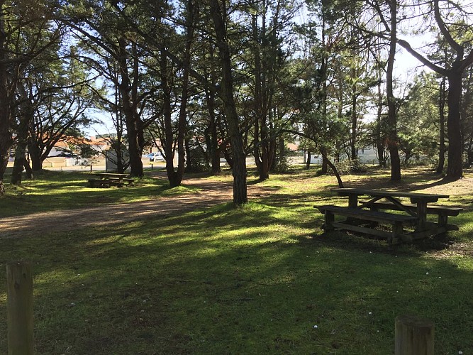 AIRE DE PIQUE-NIQUE DE LA PÈGE