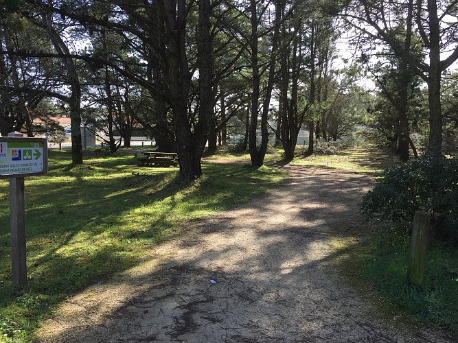 AIRE DE PIQUE-NIQUE DE LA PÈGE