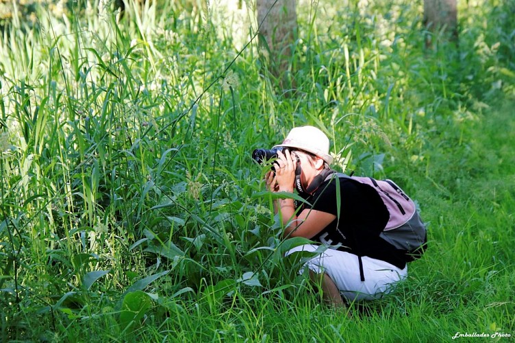 "Emballades Photos" balades photographiques dans les Mauges