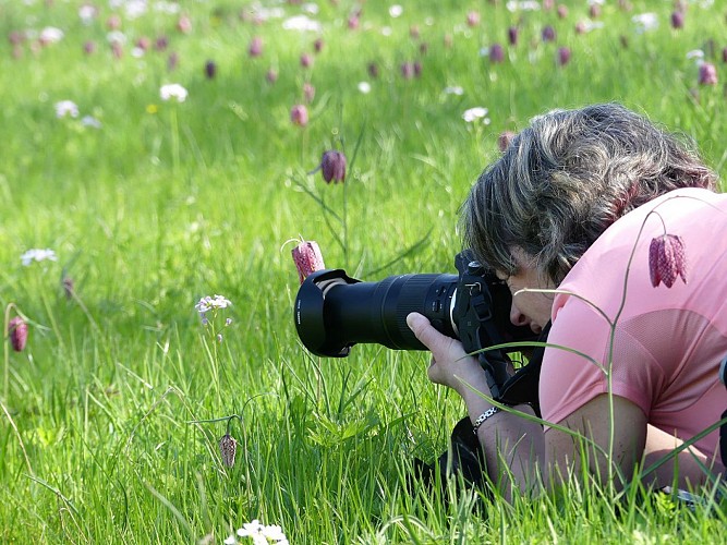 "Emballades Photos" balades photographiques dans les Mauges