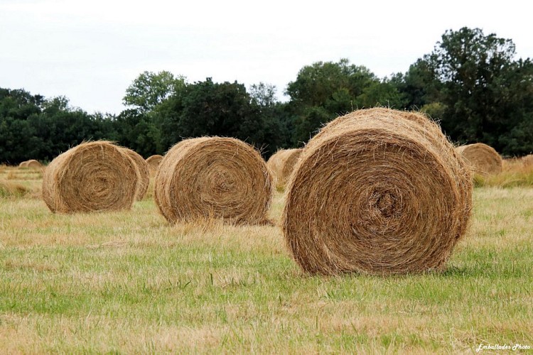 "Emballades Photos" balades photographiques dans les Mauges