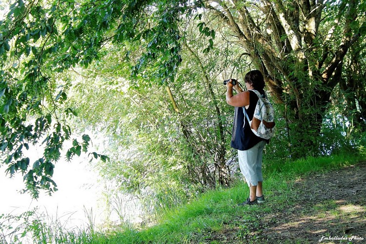 "Emballades Photos" balades photographiques dans les Mauges