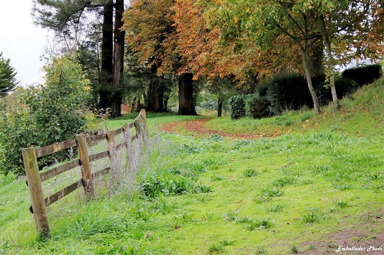 "Emballades Photos" balades photographiques dans les Mauges