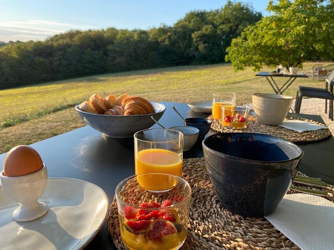 Domaine de Cazal chambre hote perigord noir vallee dordogne 8269