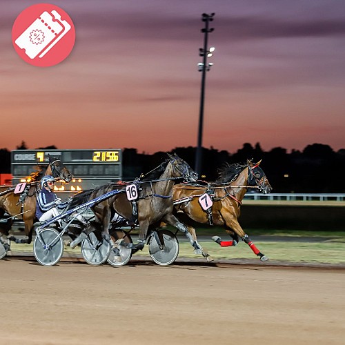 Association des courses - Hippodrome de Pornichet