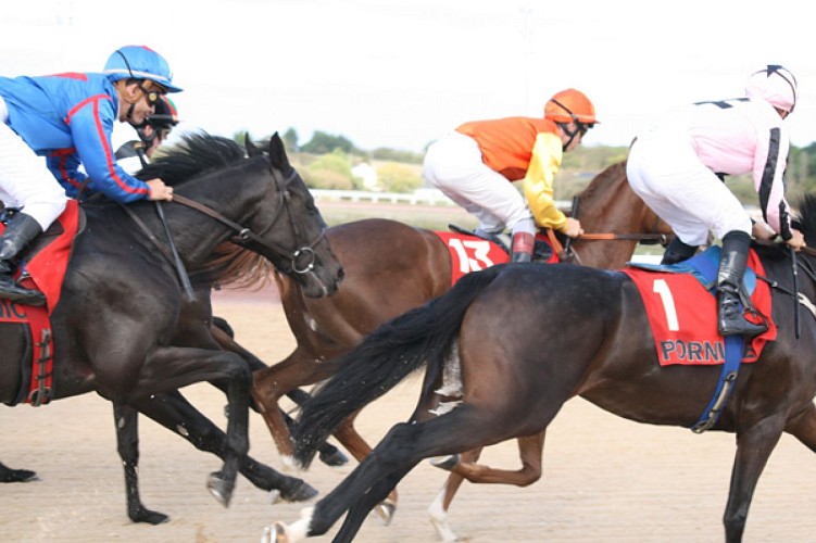 Association des courses - Hippodrome de Pornichet