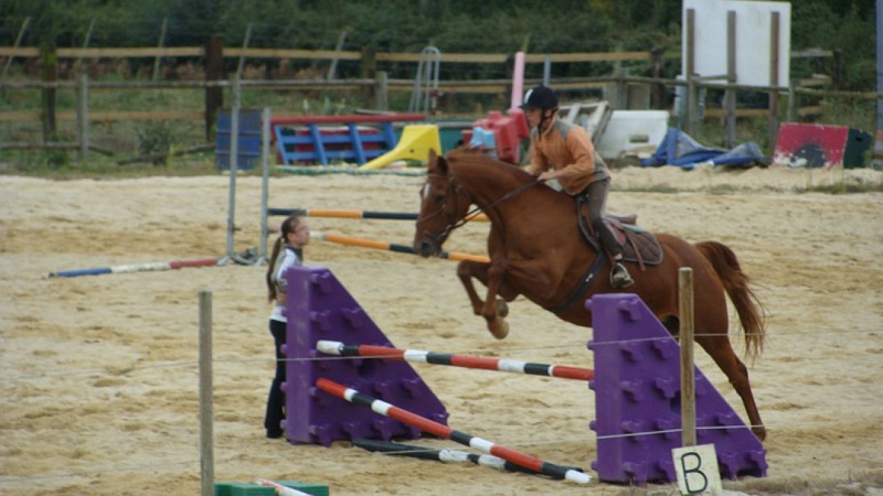 Les écuries de la Provostière