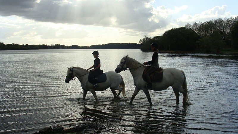 Les écuries de la Provostière
