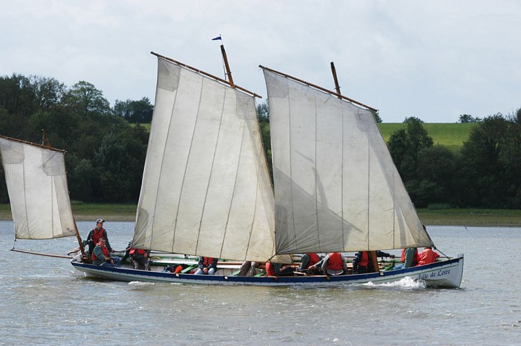 Yole du Pays d'Ancenis