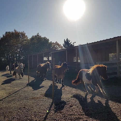 LE LANDREAU EQUITATION