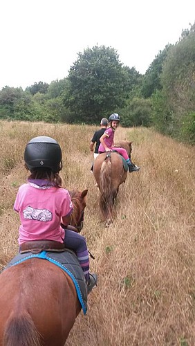 LE LANDREAU EQUITATION