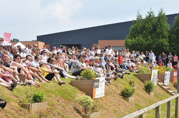Centre Équestre - Poney Club