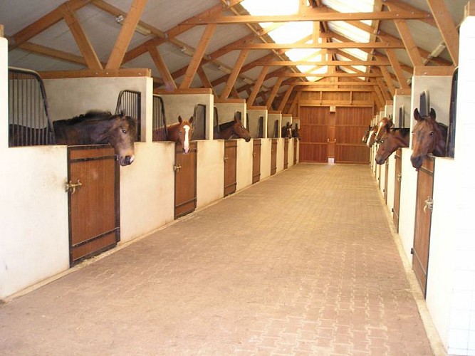 Centre Équestre - Poney Club