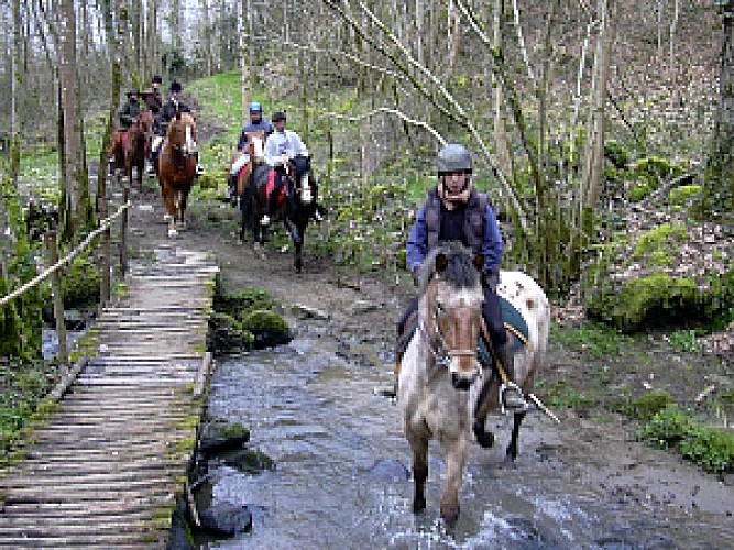 Autres FERME EQUESTRE DE NEUVILLE Saintdenisdegastines