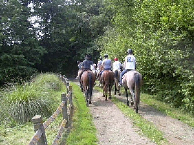 Autres FERME EQUESTRE DE NEUVILLE Saintdenisdegastines