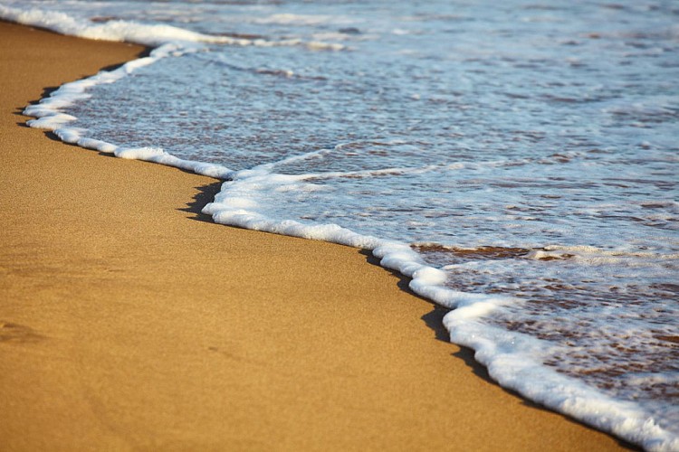 PLAGE DE LA PELLE A PORTEAU