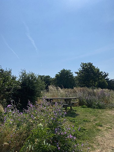 Aire à l'observatoire des marais