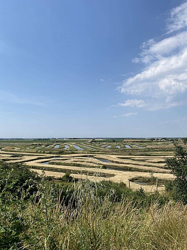 Aire à l'observatoire des marais
