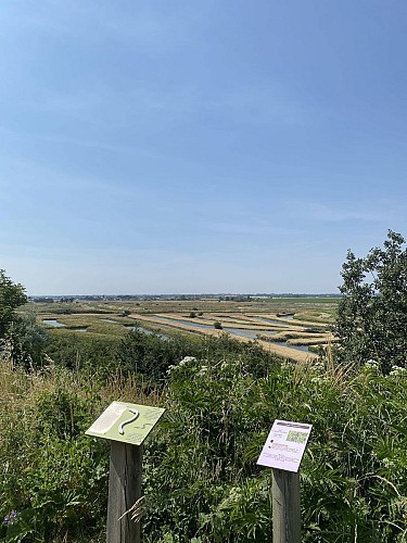 Aire à l'observatoire des marais