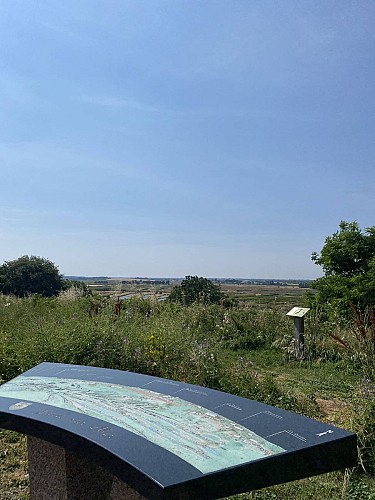 Aire à l'observatoire des marais